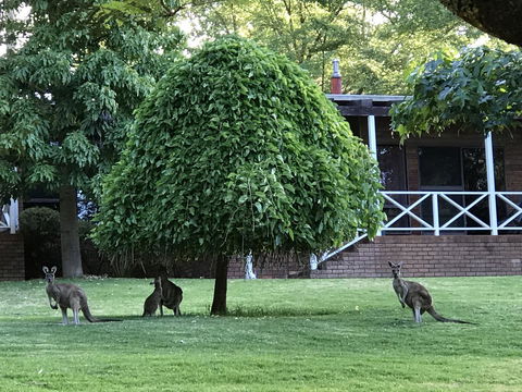 Forest Lodge Resort - Accommodation Yamba 1