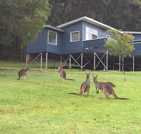 Blue House Denmark - Accommodation Yamba