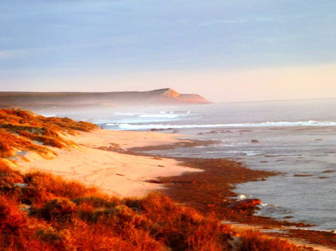 Kanga Cottage - Accommodation Yamba 26