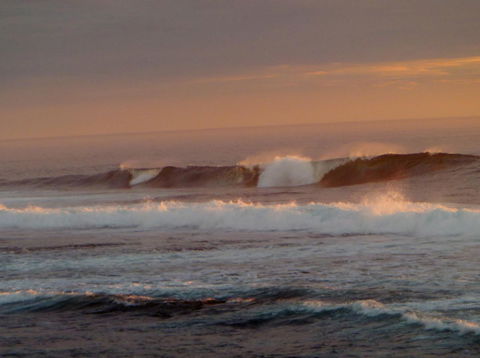 Kanga Cottage - Accommodation Yamba 42