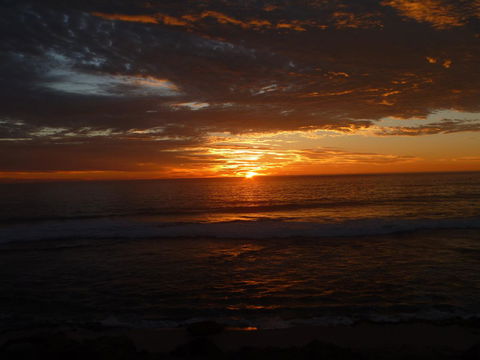 Kanga Cottage - Accommodation Yamba 41