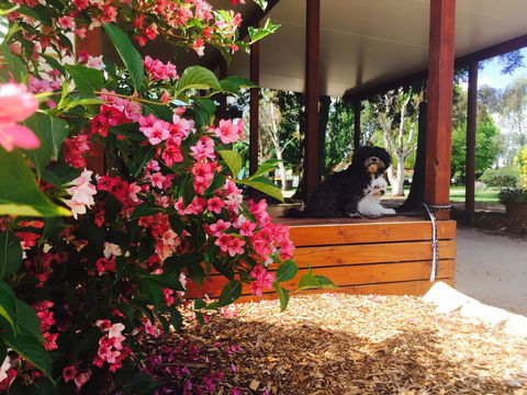 Armidale Tourist Park - Accommodation Yamba 34