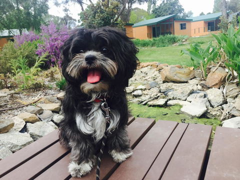 Armidale Tourist Park - Accommodation Yamba 32