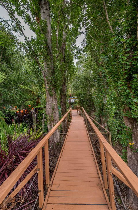 Chimes Spa Retreat - Accommodation Yamba 25