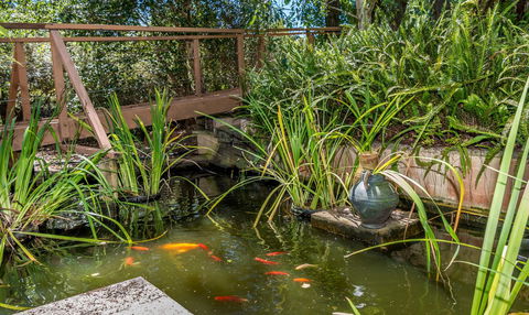 Chimes Spa Retreat - Accommodation Yamba 27