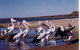 Unit 42 Kalbarri Beach Resort - thumb 17