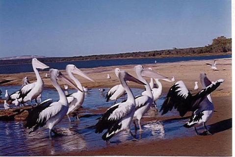 Unit 42 Kalbarri Beach Resort - Accommodation Yamba 17