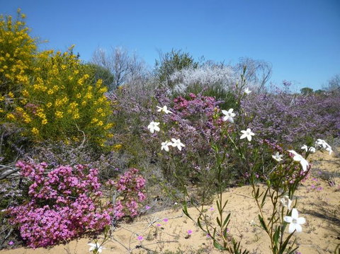 Unit 42 Kalbarri Beach Resort - Accommodation Yamba 26