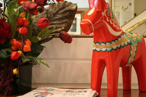 European Hotel - Accommodation Yamba 10