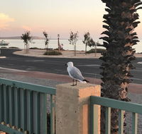 Shark Bay Seafront Apartments - Accommodation Yamba