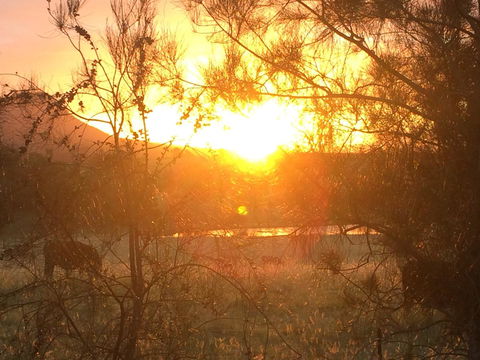 Grapevines Boutique Accommodation - Accommodation Yamba 27
