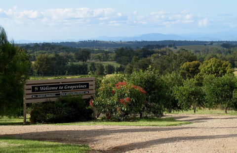 Grapevines Boutique Accommodation - Accommodation Yamba 15