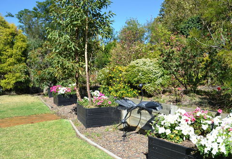 Grapevines Boutique Accommodation - Accommodation Yamba 17