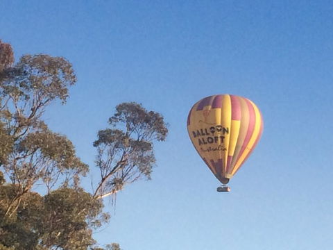 Grapevines Boutique Accommodation - Accommodation Yamba 12