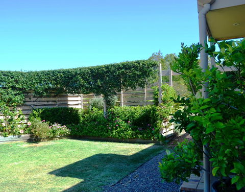 Grapevines Boutique Accommodation - Accommodation Yamba 14