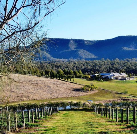 Grapevines Boutique Accommodation - Accommodation Yamba 5
