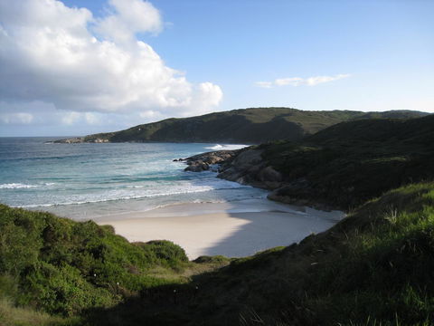 Albany Motel & Apartments - Accommodation Yamba 23