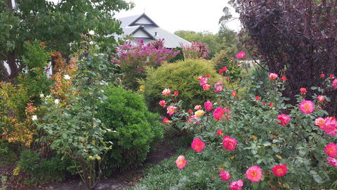 Glenelg On King Bed & Breakfast - Accommodation Yamba 15