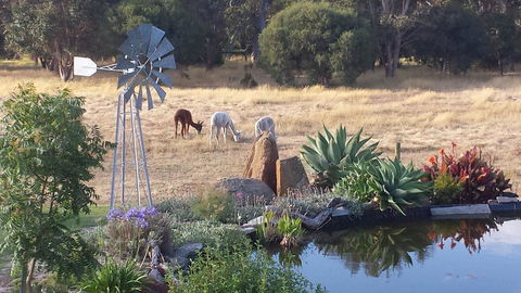 Glenelg On King Bed & Breakfast - Accommodation Yamba 19