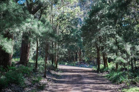 The Floating Forest - Accommodation Yamba 30