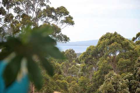The Floating Forest - Accommodation Yamba 8