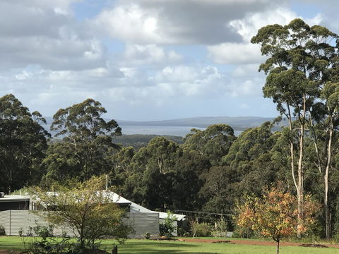 The Floating Forest - Accommodation Yamba 2