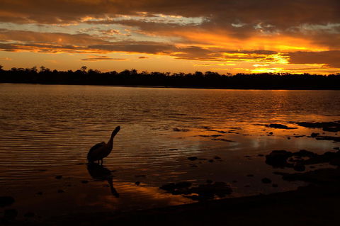 Dungowan Holiday Accommodation - Accommodation Yamba 31