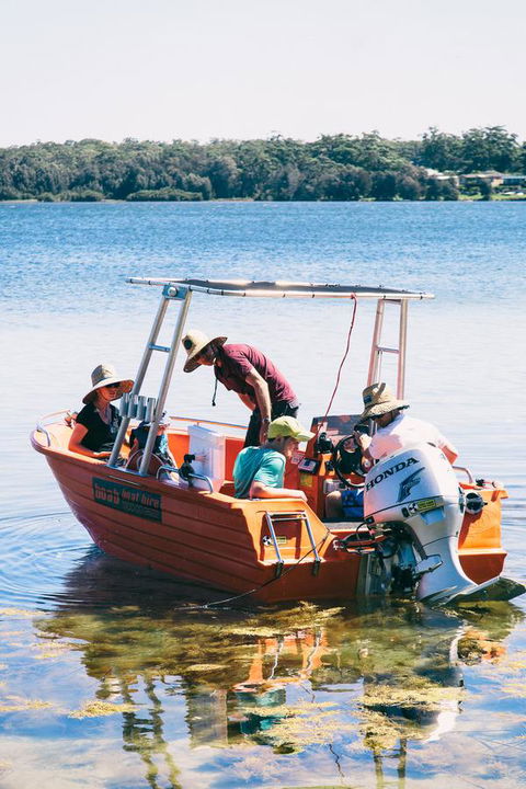 Dungowan Holiday Accommodation - Accommodation Yamba 39
