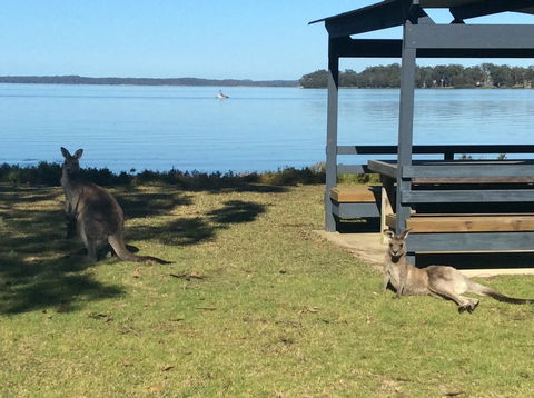 Dungowan Holiday Accommodation - Accommodation Yamba 33