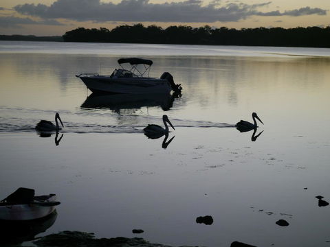 Dungowan Holiday Accommodation - Accommodation Yamba 41
