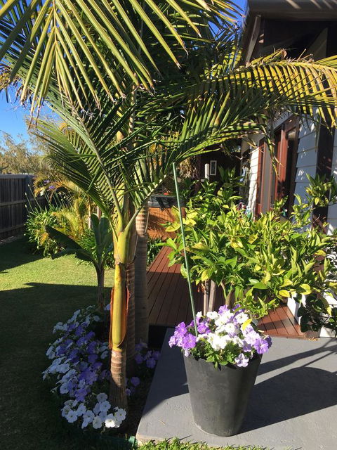 Bella Bali Gardens - Accommodation Yamba 23