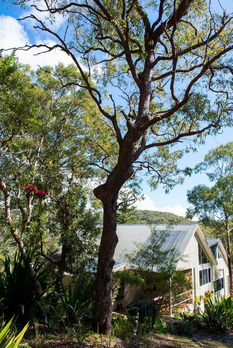 Nelson Bay Bed & Breakfast - Accommodation Yamba 42