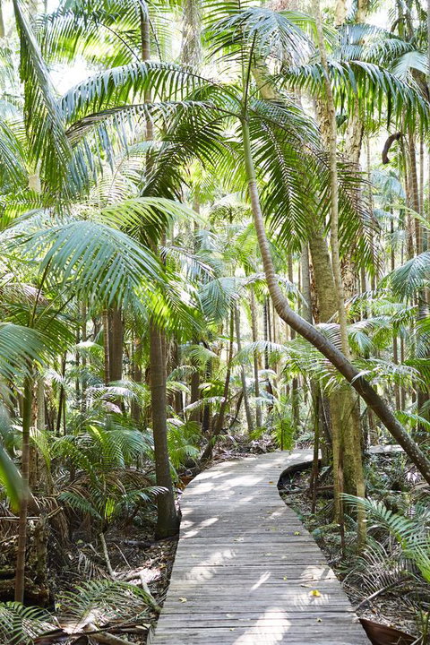 Crystalbrook Byron - Accommodation Yamba 26