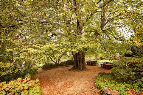Nesuto Leura Gardens (formerly Waldorf Leura Gardens Resort) - Accommodation Yamba 1
