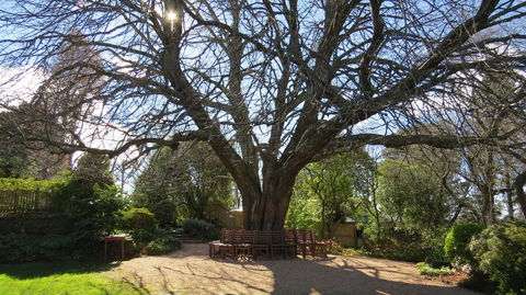 Nesuto Leura Gardens (formerly Waldorf Leura Gardens Resort) - Accommodation Yamba 3
