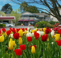 Nesuto Leura Gardens formerly Waldorf Leura Gardens Resort - Accommodation Yamba