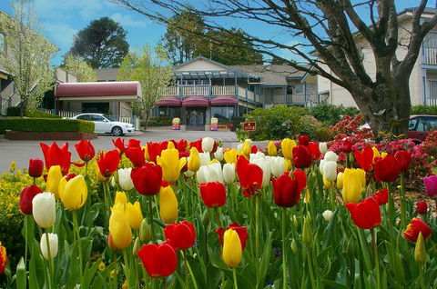Nesuto Leura Gardens (formerly Waldorf Leura Gardens Resort) - Accommodation Yamba 0