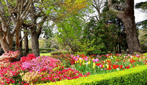 Nesuto Leura Gardens (formerly Waldorf Leura Gardens Resort) - Accommodation Yamba 8