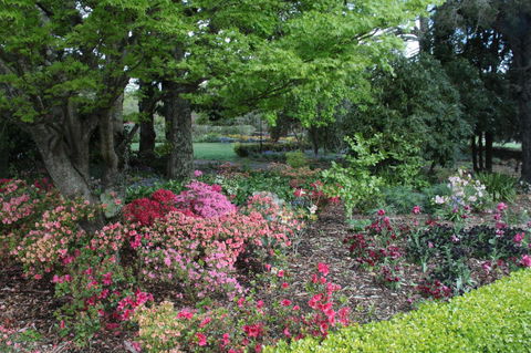 Nesuto Leura Gardens (formerly Waldorf Leura Gardens Resort) - Accommodation Yamba 2