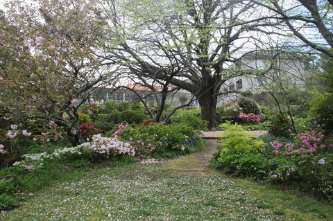 Nesuto Leura Gardens (formerly Waldorf Leura Gardens Resort) - Accommodation Yamba 4