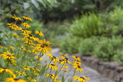 Nesuto Leura Gardens (formerly Waldorf Leura Gardens Resort) - Accommodation Yamba 16