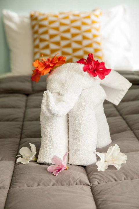 Kempsey Rose Motor Inn - Accommodation Yamba 17