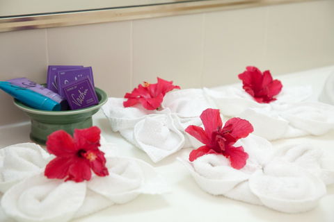 Kempsey Rose Motor Inn - Accommodation Yamba 14