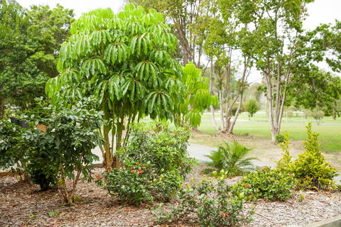 Kempsey Rose Motor Inn - Accommodation Yamba 42