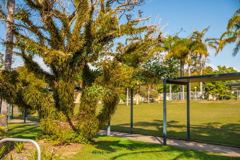 Kempsey Rose Motor Inn - Accommodation Yamba 41