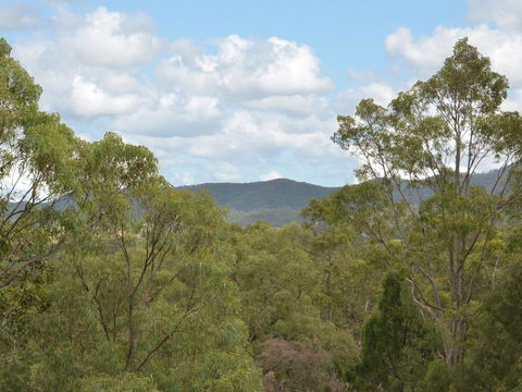Villa Executive 2br Cypress DS Located Within Cypress Lakes Resort - Accommodation Yamba 8