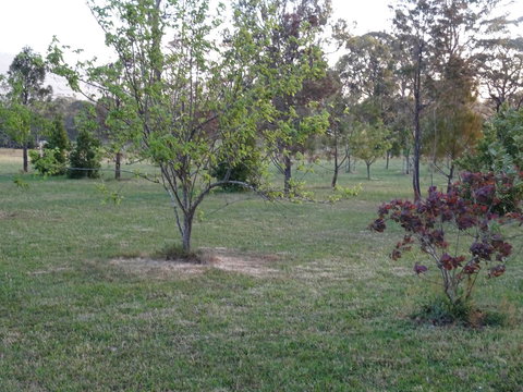 Romanz In The Valley (Luxury B&B) - Accommodation Yamba 32