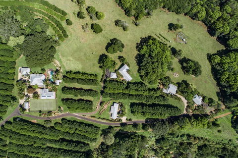 Byron Hinterland Villas - Accommodation Yamba 17