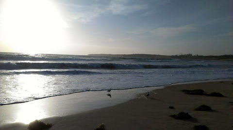 Sweet Spot Shellharbour - Accommodation Yamba 14