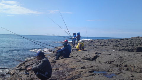 Sweet Spot Shellharbour - Accommodation Yamba 13